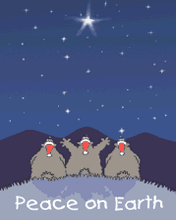 pic for Christmas wishes